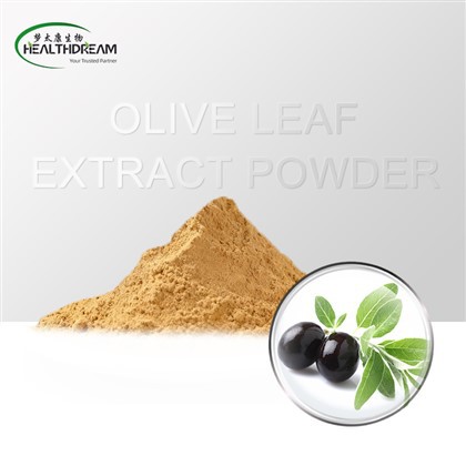 زیتون کے پتوں کے عرق کا پاؤڈر