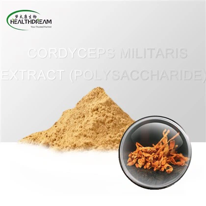 نامیاتی کورڈیسیپس ملیشلیس نکالنے والی پولیساکرائڈ