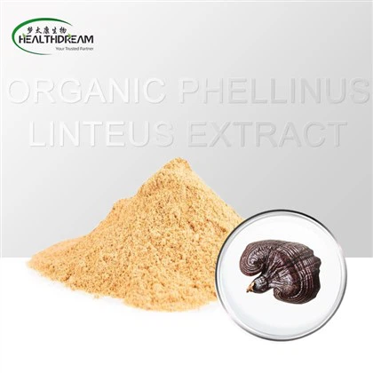 نامیاتی فیلینس لنٹیس فروٹنگ باڈی نچوڑ